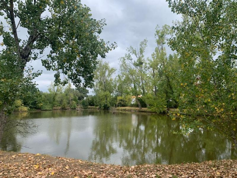Maison Avec Piscine Privee, Proche Plage Avrillé Εξωτερικό φωτογραφία